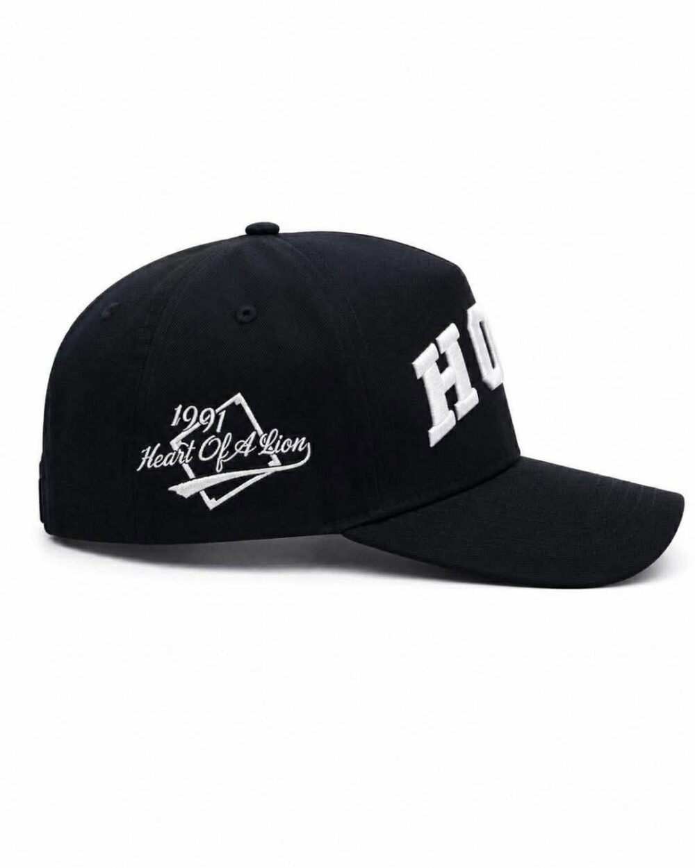 HOAL Arc Cap — Black