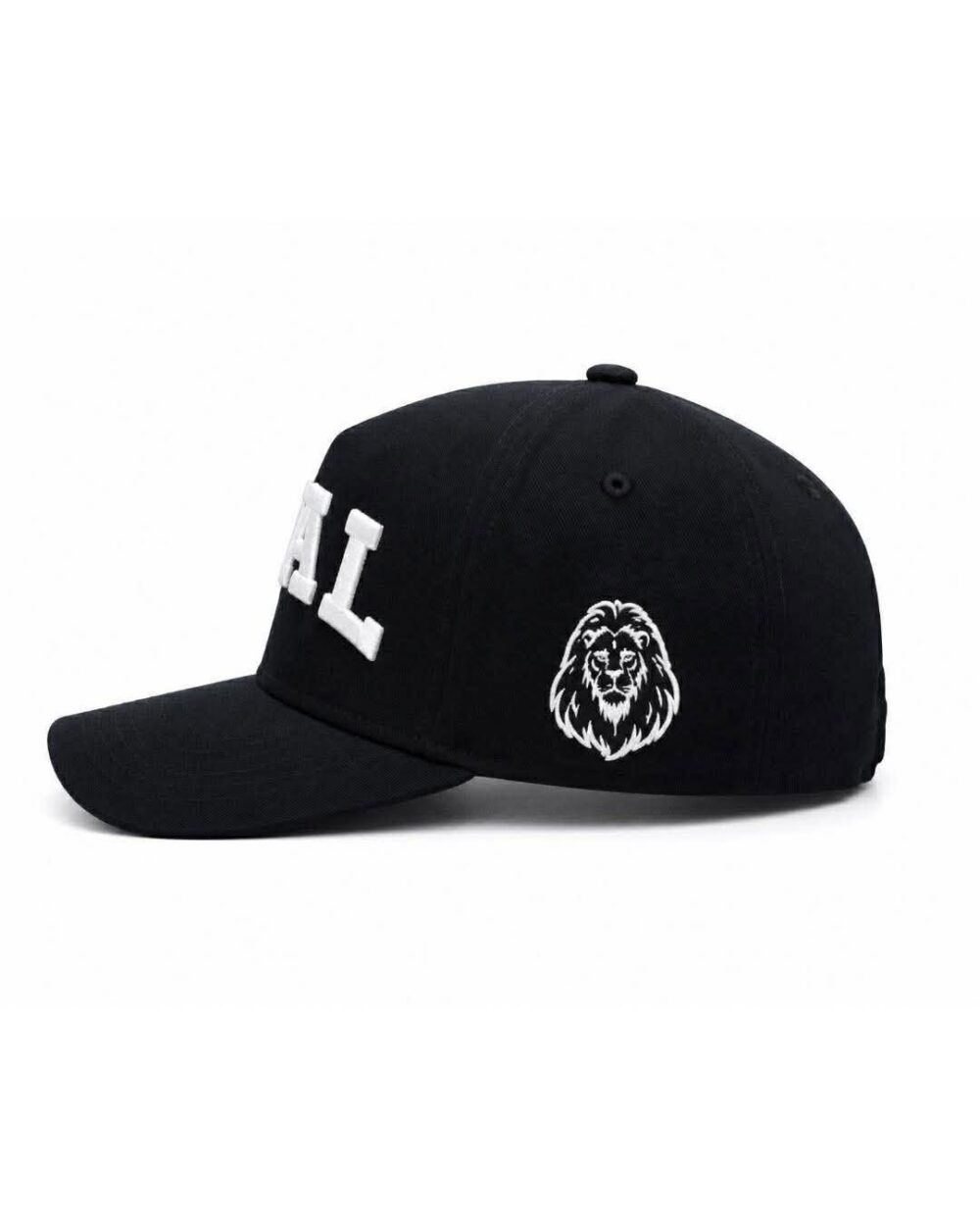 HOAL Arc Cap — Black