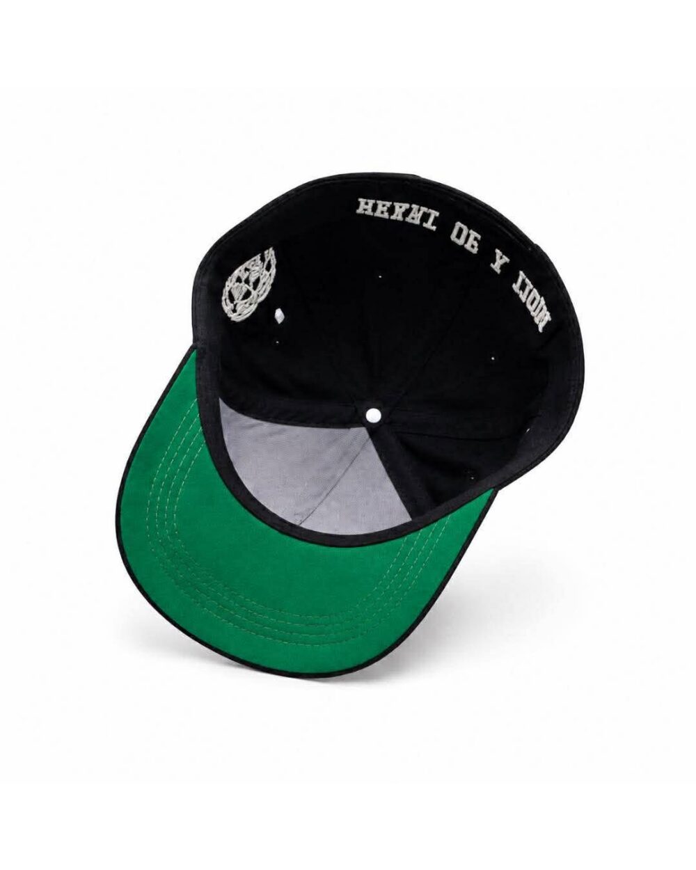 HOAL Arc Cap — Black