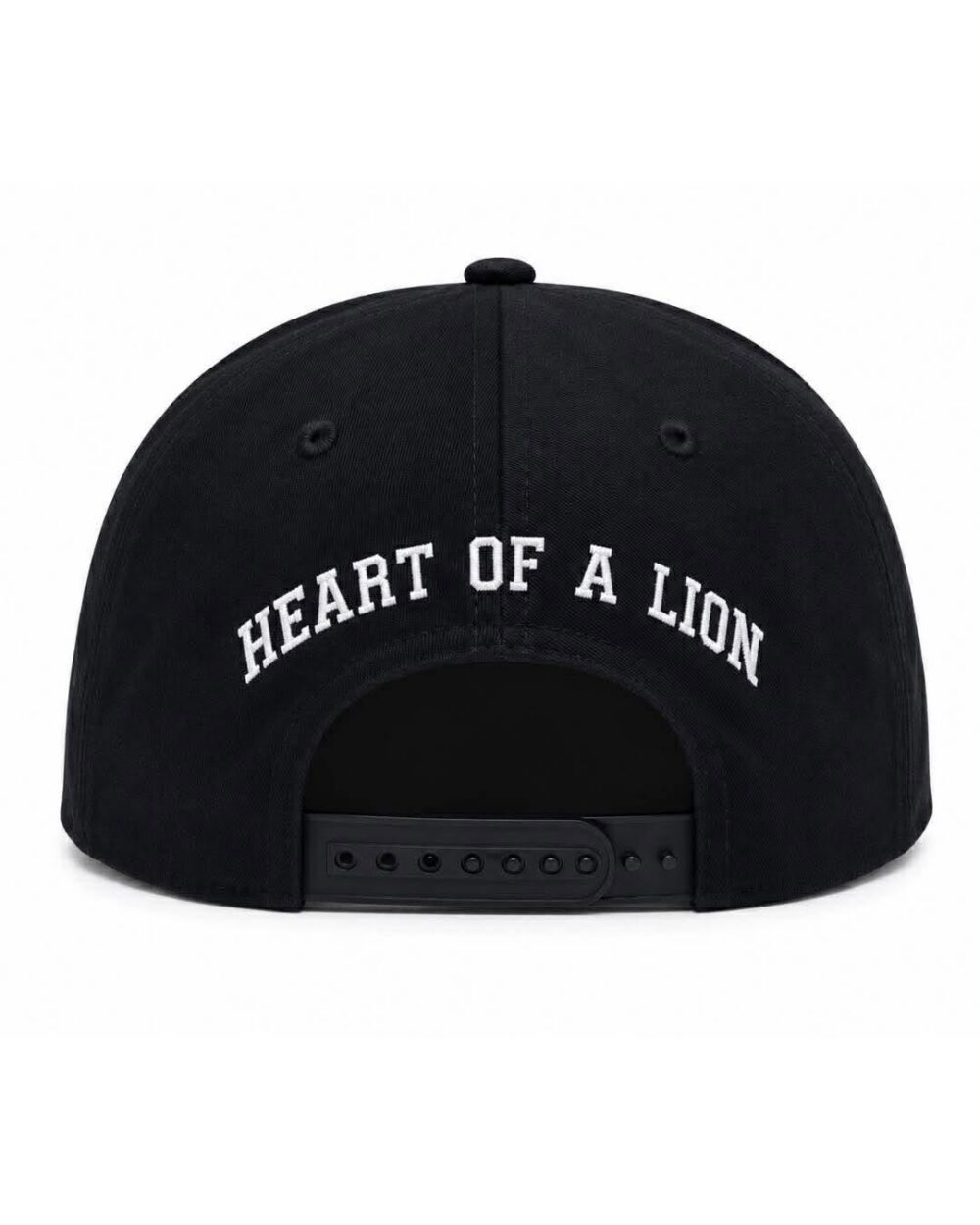 HOAL Arc Cap — Black