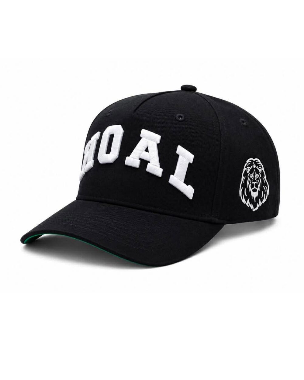 HOAL Arc Cap — Black