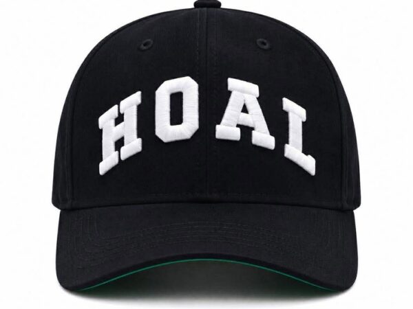 HOAL Arc Cap — Black