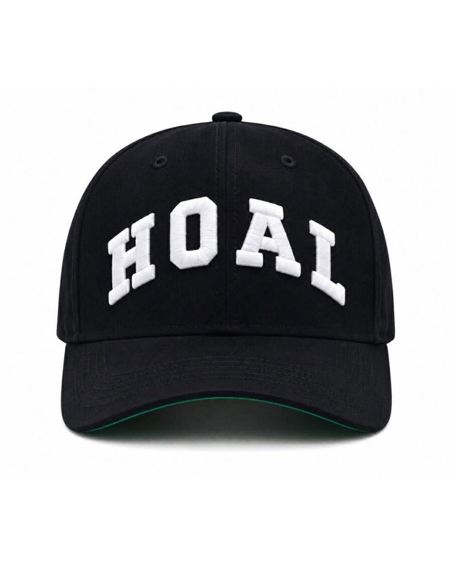 HOAL Arc Cap — Black